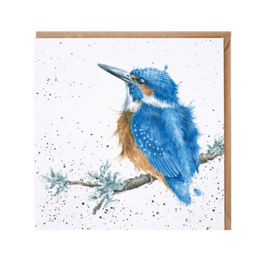 Wrendale Designs card Country Set KING OF THE RIVER kingfisher