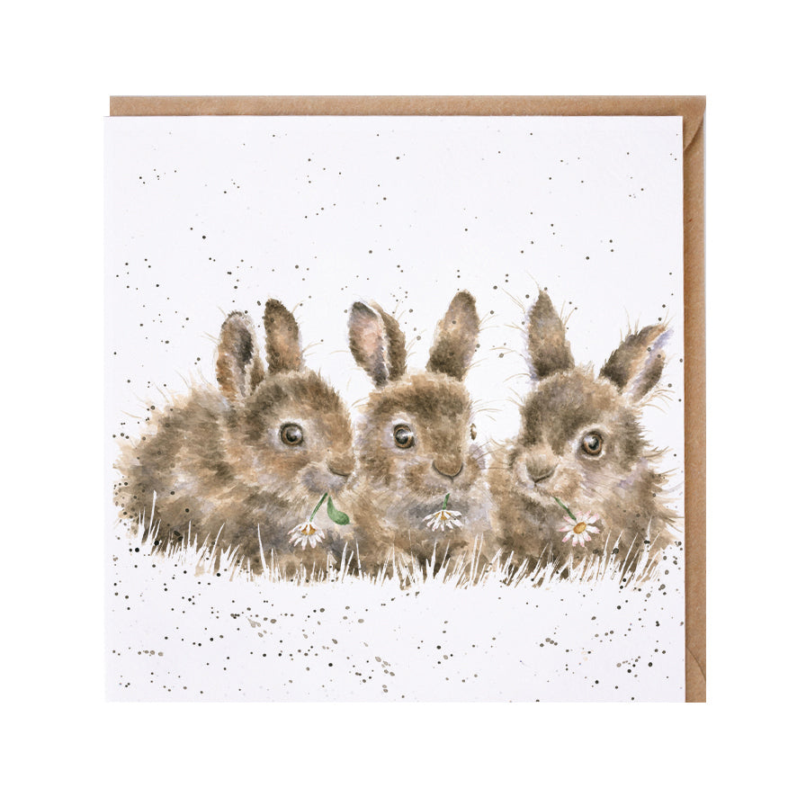 Wrendale Designs card Country Set DAISY CHAIN rabbits daisies