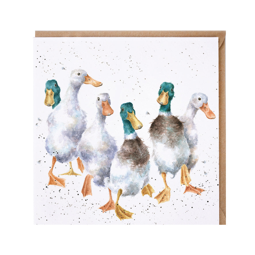 Wrendale Designs card Country Set QUACKERS ducks