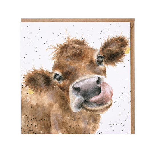 Wrendale Designs card Country Set MOO cow