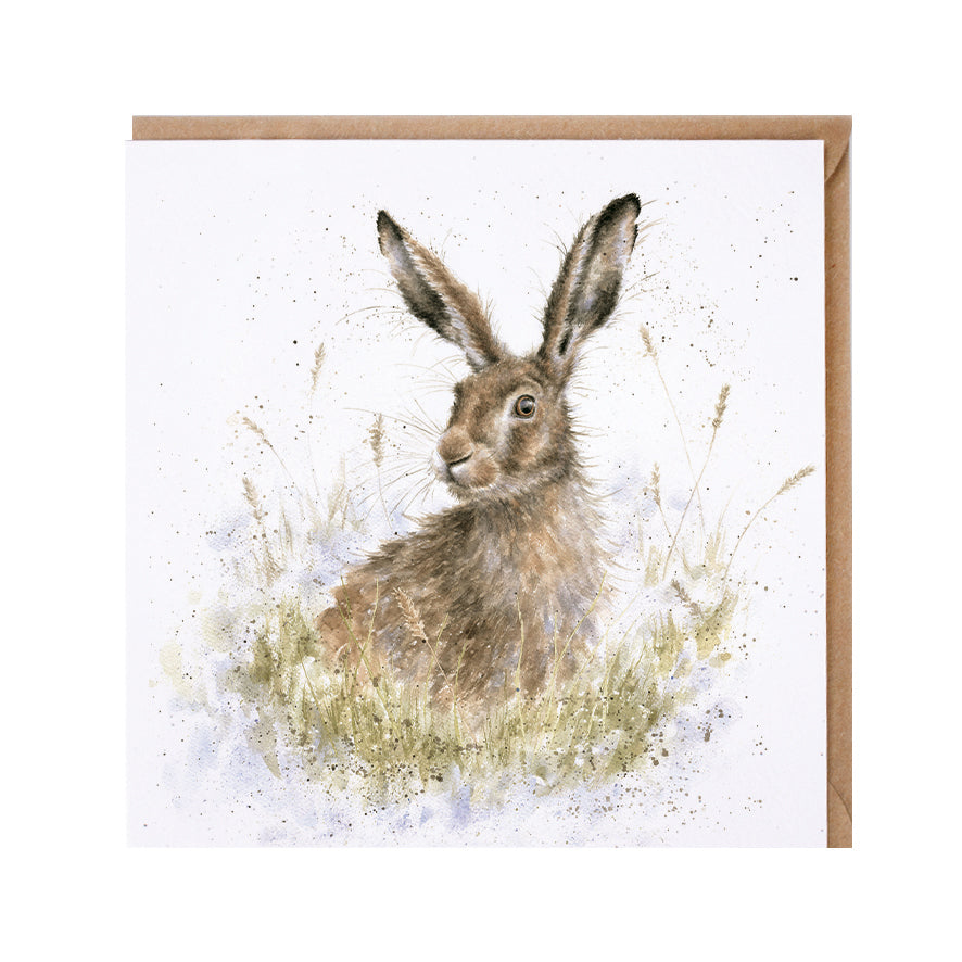 Wrendale Designs card Country Set INTO THE WILD hare