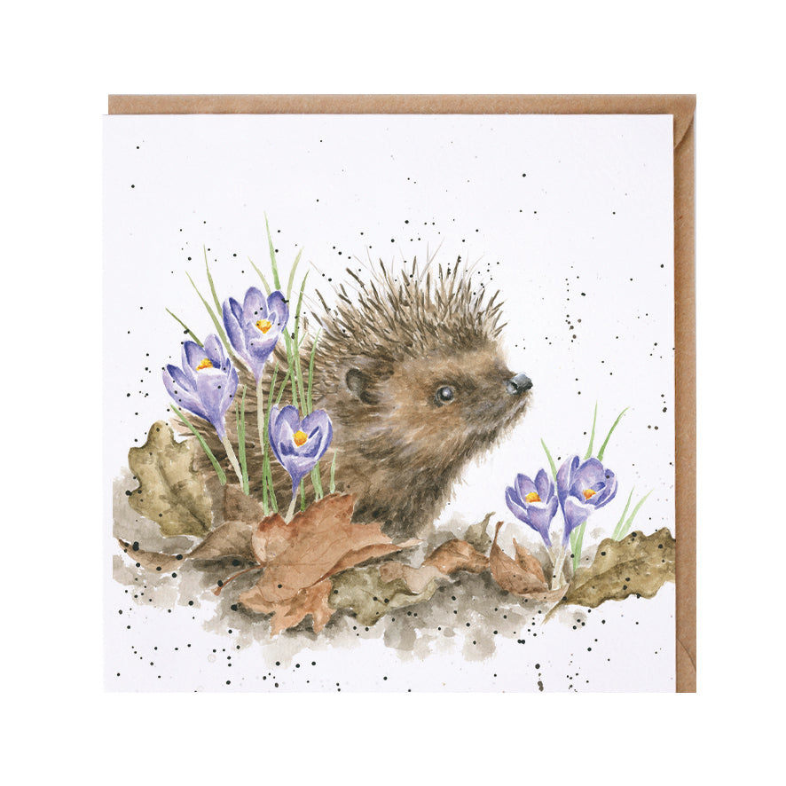 Wrendale Designs card Country Set NEW BEGINNINGS hedgehog crocus