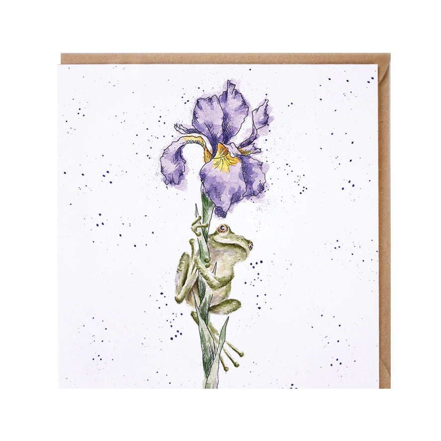 Wrendale Designs card Country Set IT'S NOT EASY BEING GREEN frog iris flower