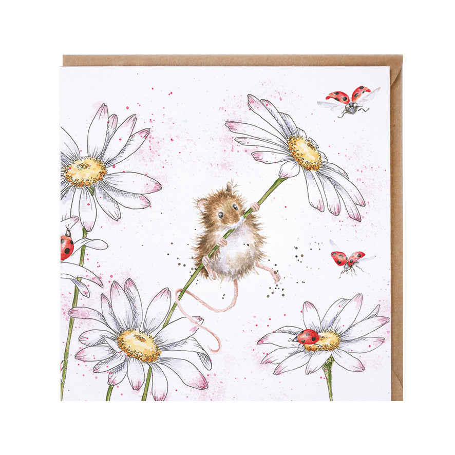 Wrendale Designs card Country Set OOPS A DAISY mouse daisies