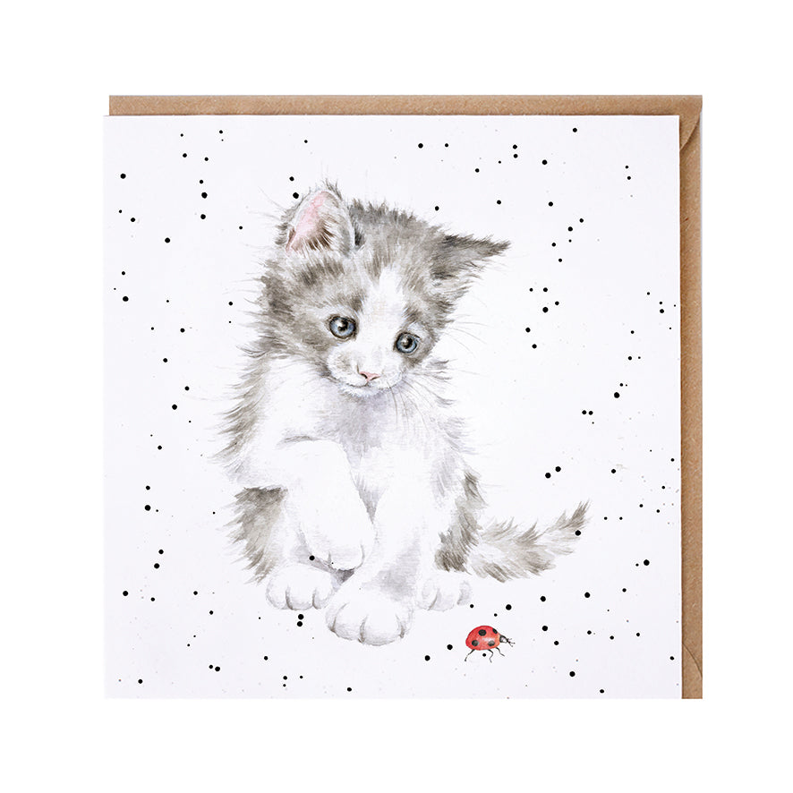 Wrendale Designs card Country Set LADYBIRD kitten