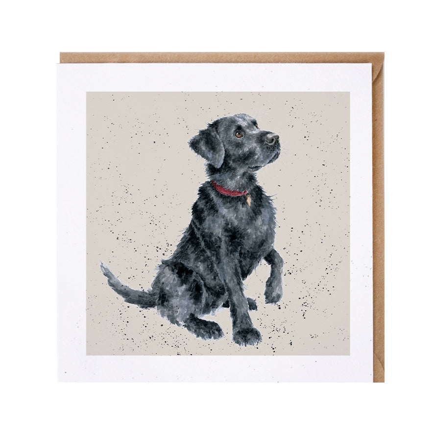 Wrendale Designs card Dog Breeds LABRADOR BLACK