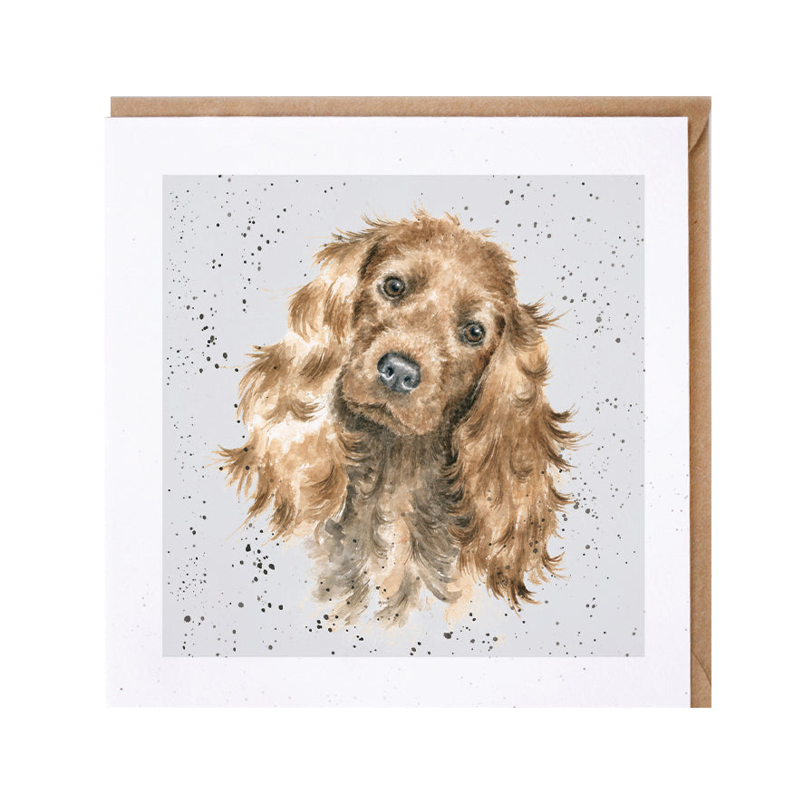 Wrendale Designs card Dog Breeds COCKER SPANIEL GOLDEN