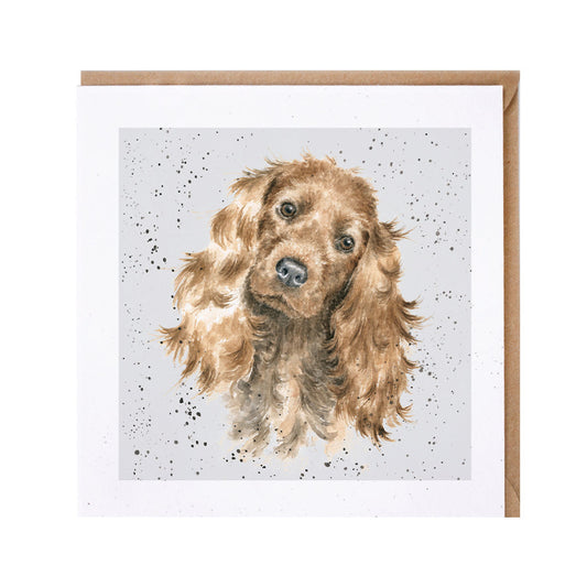 Wrendale Designs card Dog Breeds COCKER SPANIEL GOLDEN