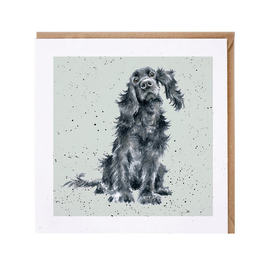 Wrendale Designs card Dog Breeds COCKER SPANIEL BLACK