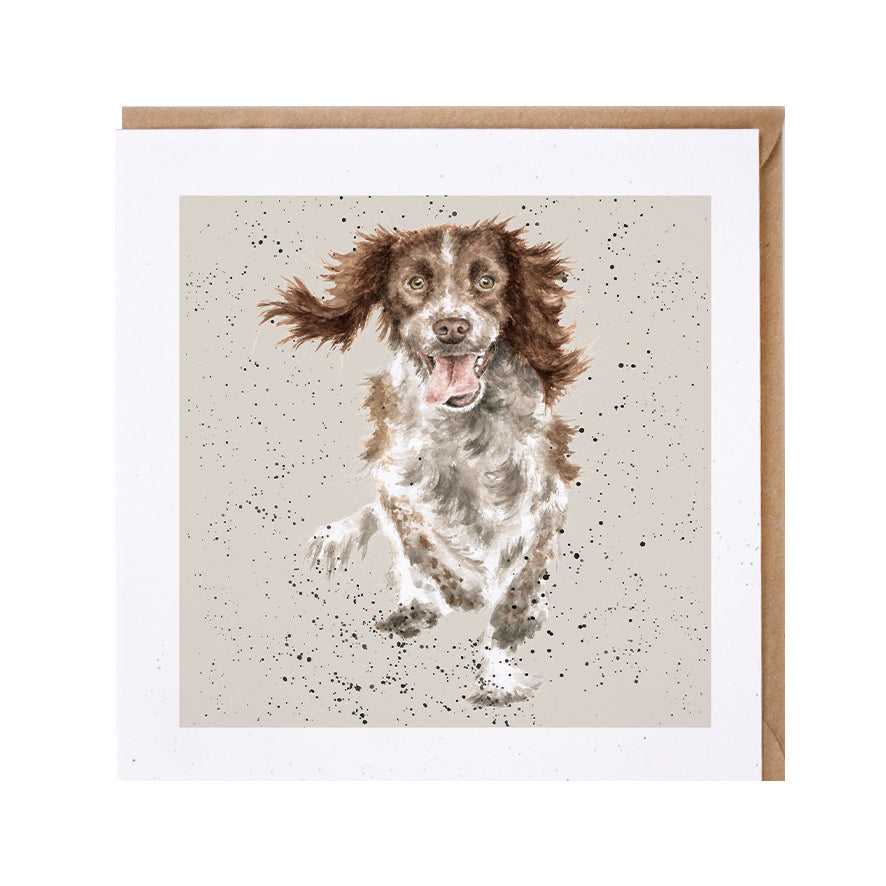 Wrendale Designs card Dog Breeds SPRINGER SPANIEL