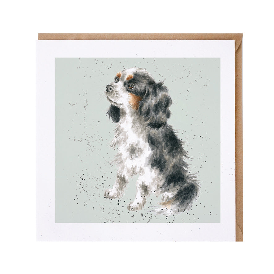 Wrendale Designs card Dog Breeds CAVALIER KING CHARLES