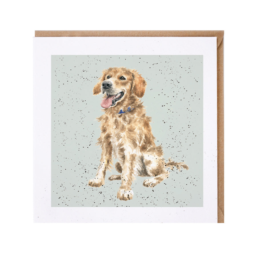 Wrendale Designs card Dog Breeds GOLDEN RETRIEVER