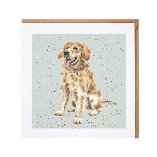 Wrendale Designs card Dog Breeds GOLDEN RETRIEVER