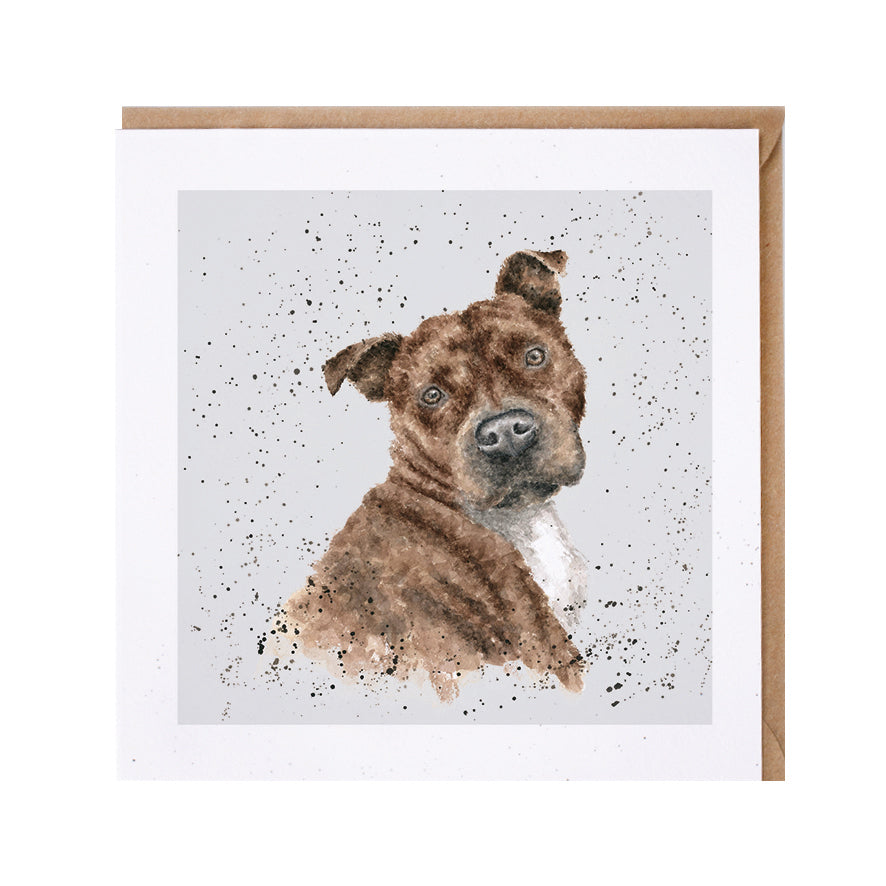 Wrendale Designs card Dog Breeds STAFFORDSHIRE TERRIER