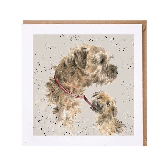 Wrendale Designs card Dog Breeds BORDER TERRIERS