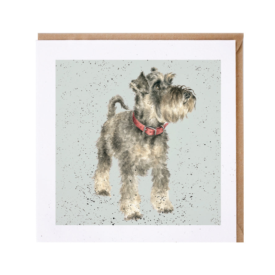 Wrendale Designs card Dog Breeds SCHNAUZER