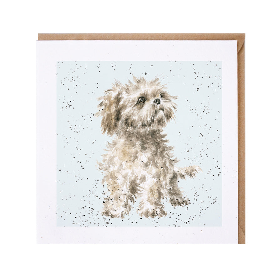 Wrendale Designs card Dog Breeds SHIH TZU