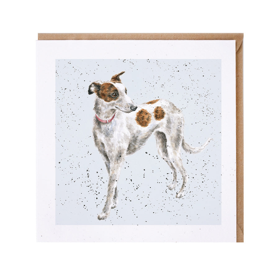 Wrendale Designs card Dog Breeds WHIPPET