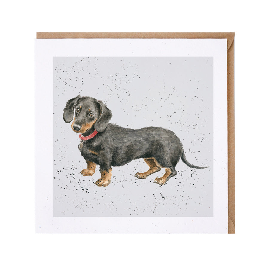 Wrendale Designs card Dog Breeds DACHSHUND