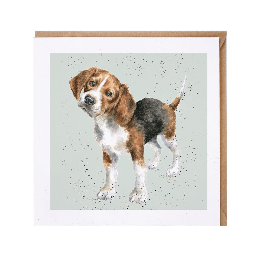 Wrendale Designs card Dog Breeds BEAGLE