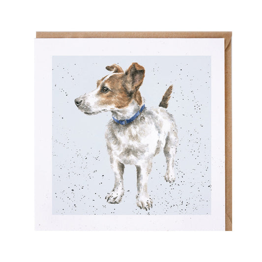 Wrendale Designs card Dog Breeds JACK RUSSELL