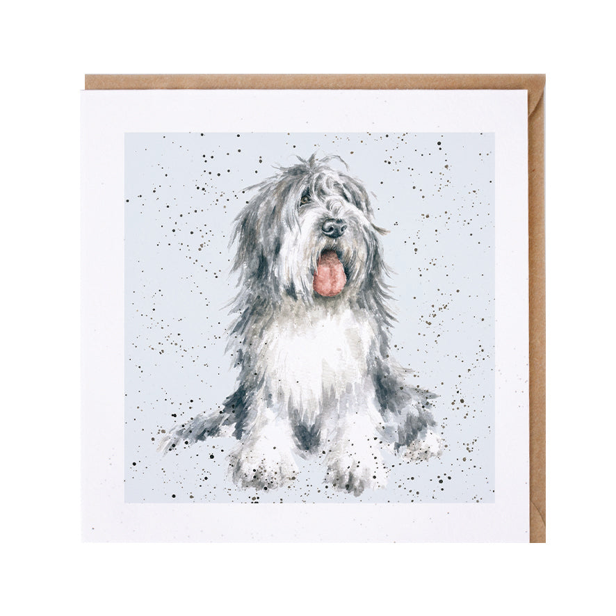 Wrendale Designs card Dog Breeds OLD ENGLISH SHEEPDOG