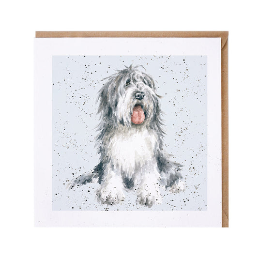 Wrendale Designs card Dog Breeds OLD ENGLISH SHEEPDOG