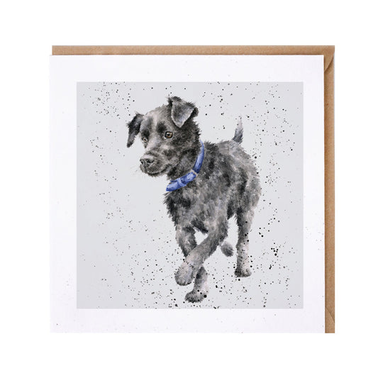 Wrendale Designs card Dog Breeds PATTERDALE