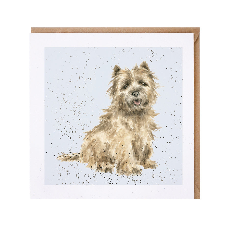 Wrendale Designs card Dog Breeds CAIRN TERRIER