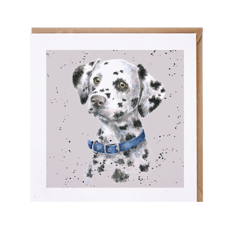 Wrendale Designs card Dog Breeds DALMATIAN