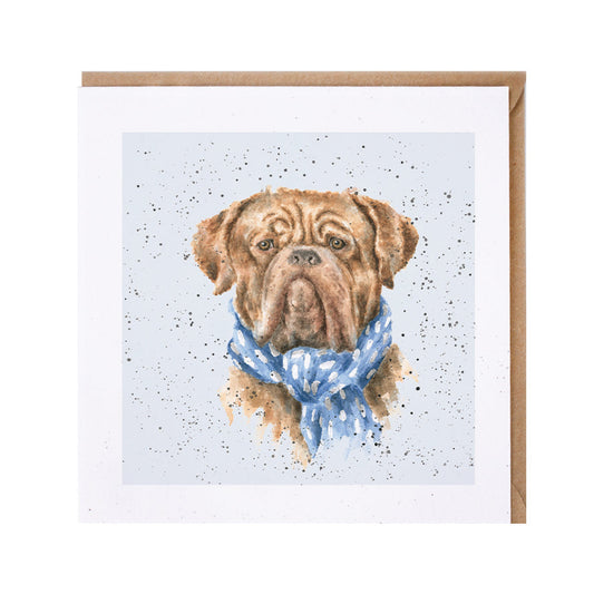 Wrendale Designs card Dog Breeds DOGUE de BORDEAUX