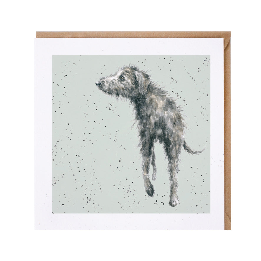 Wrendale Designs card Dog Breeds LURCHER