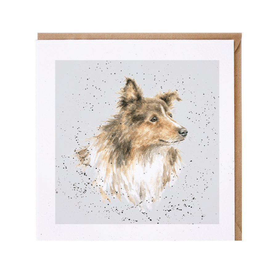 Wrendale Designs card Dog Breeds ROUGH COLLIE / SHELTIE