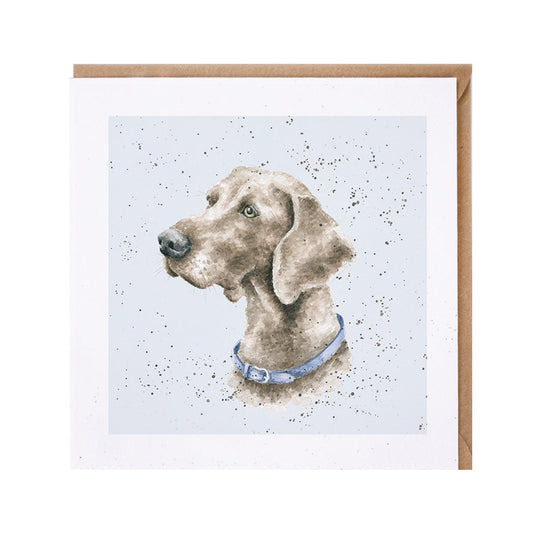 Wrendale Designs card Dog Breeds WEIMERANER