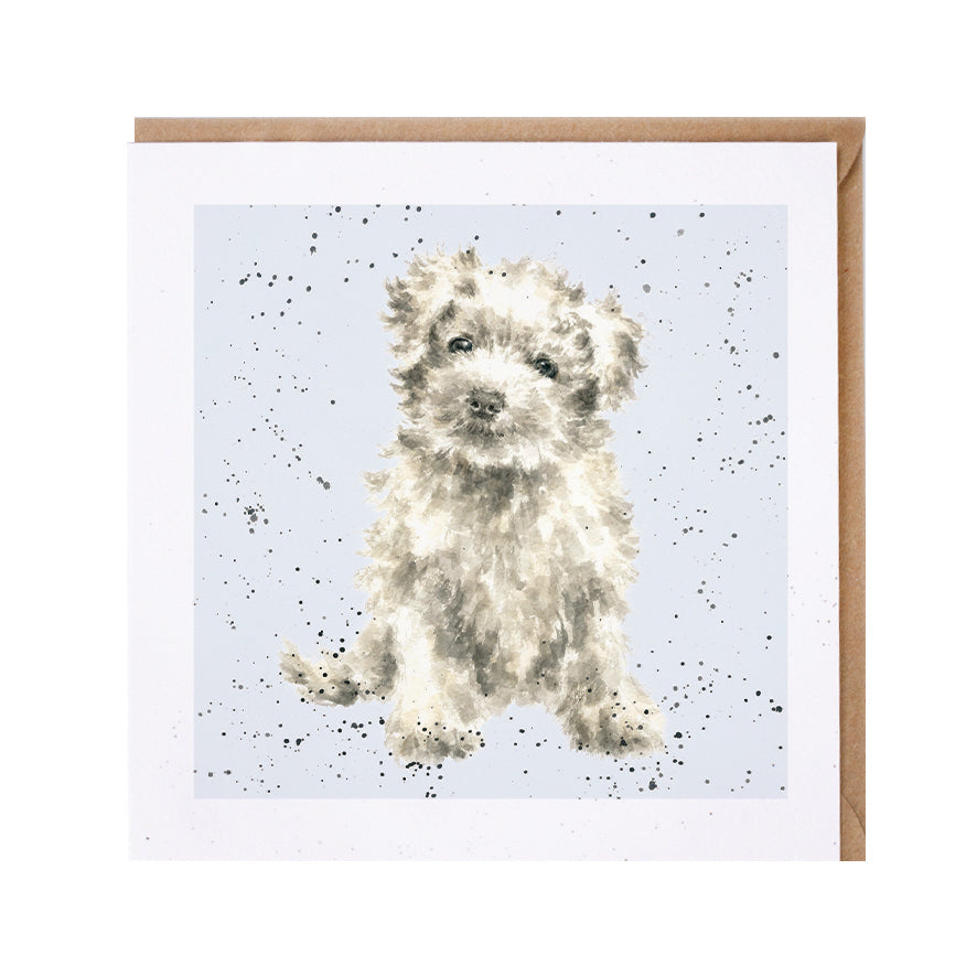 Wrendale Designs card Dog Breeds MALTESE