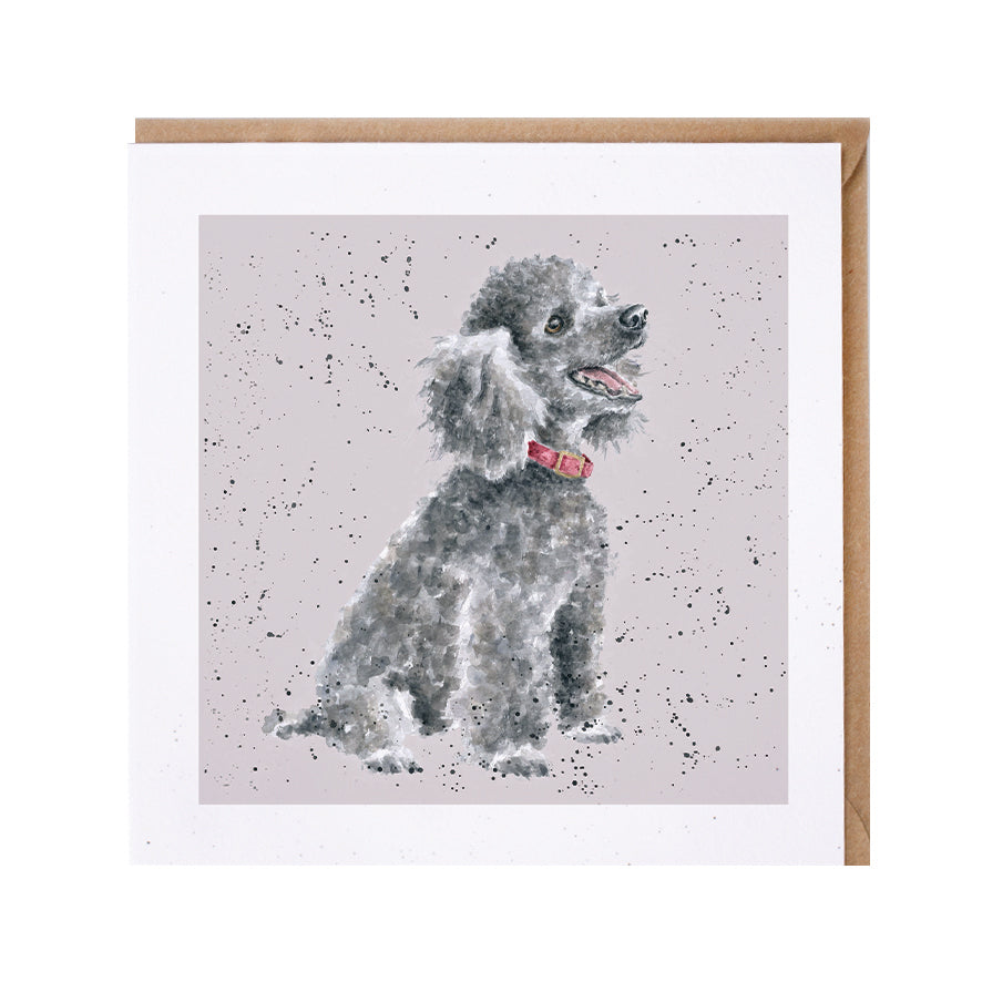 Wrendale Designs card Dog Breeds POODLE