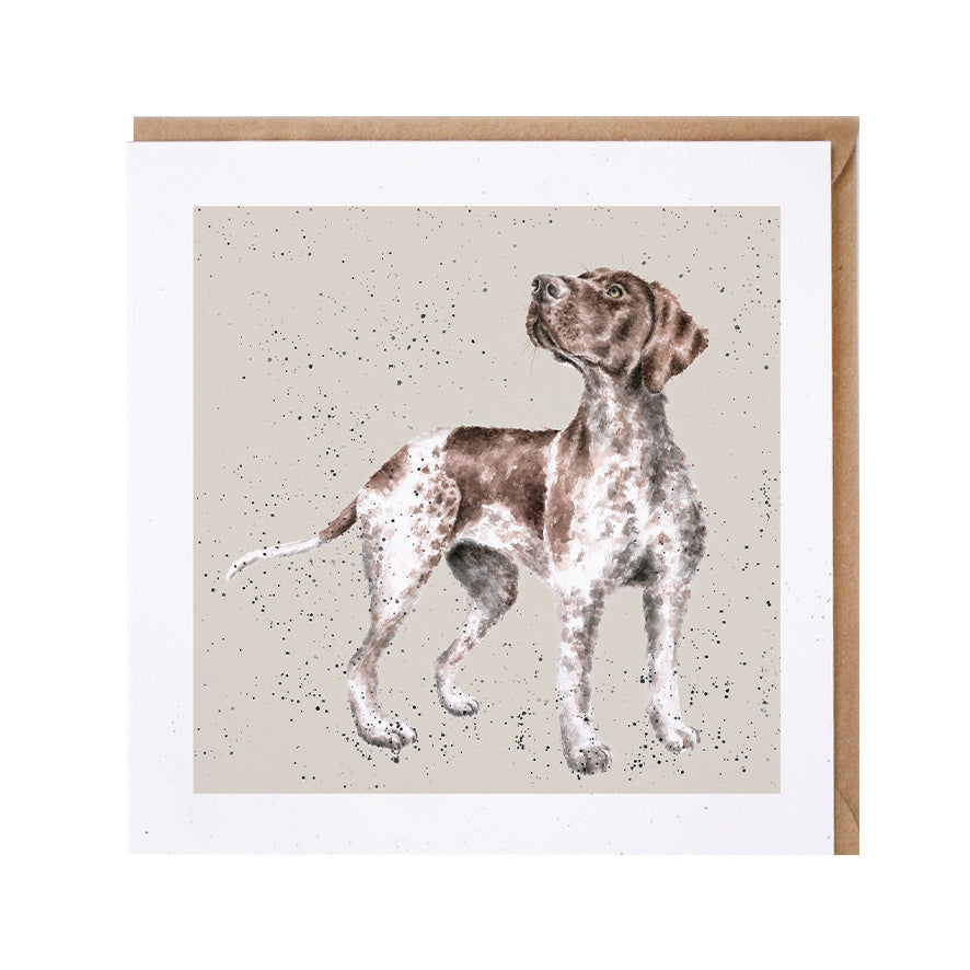 Wrendale Designs card Dog Breeds GERMAN POINTER