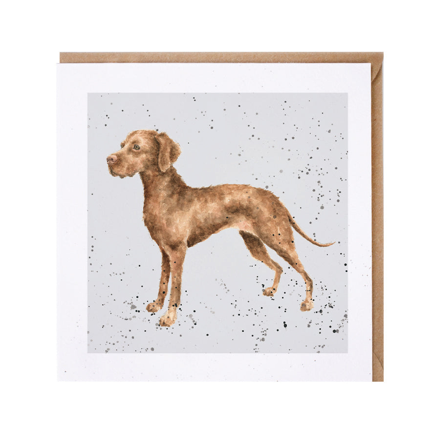 Wrendale Designs card Dog Breeds HUNGARIAN VIZSLA