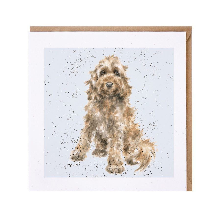 Wrendale Designs card Dog Breeds COCKAPOO