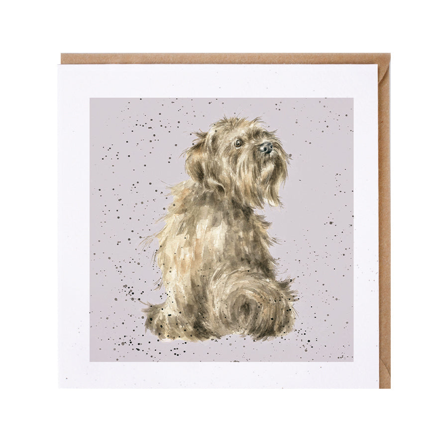 Wrendale Designs card Dog Breeds TIBETAN TERRIER