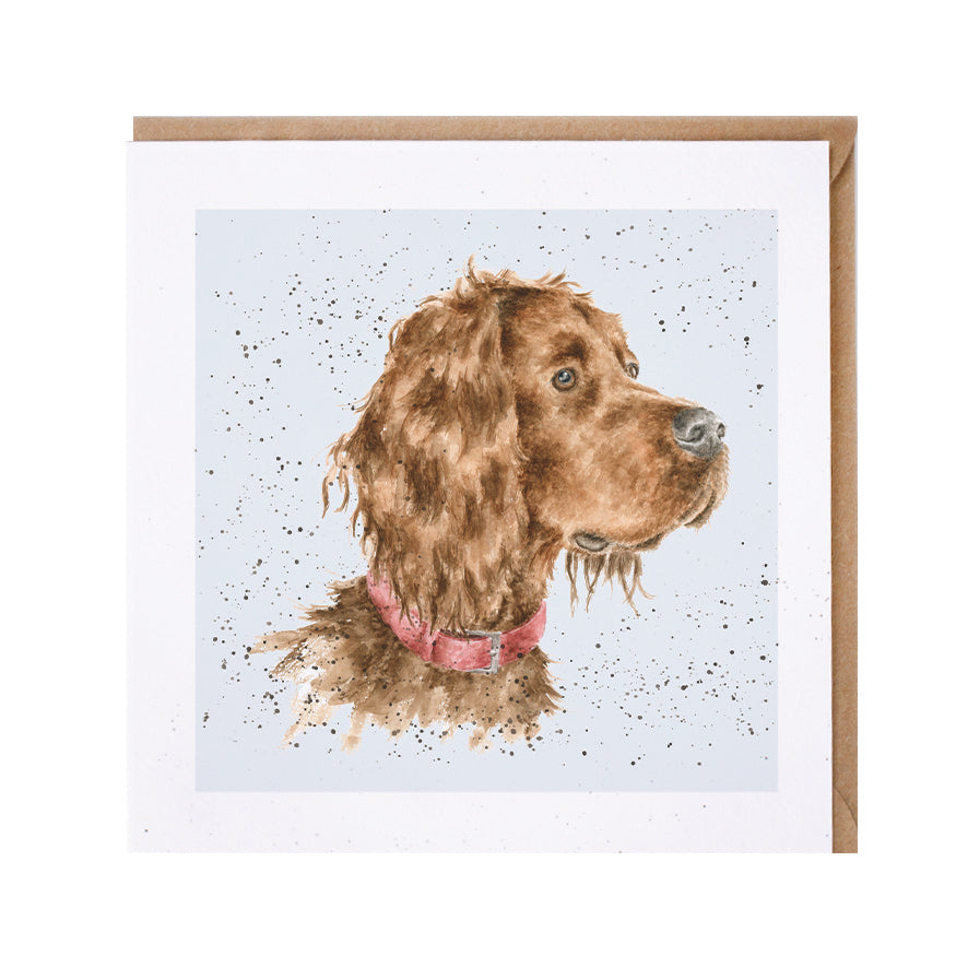 Wrendale Designs card Dog Breeds RED SETTER