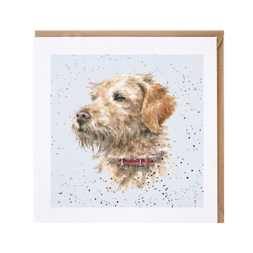 Wrendale Designs card Dog Breeds LABRADOODLE