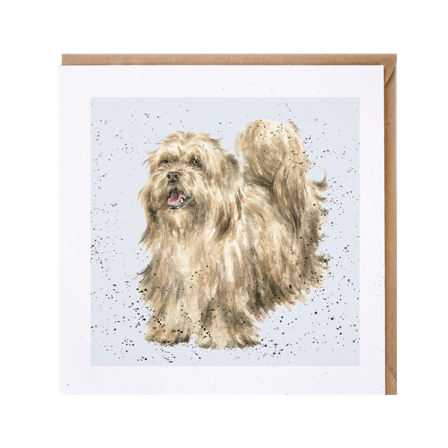 Wrendale Designs card Dog Breeds LHASA APSO