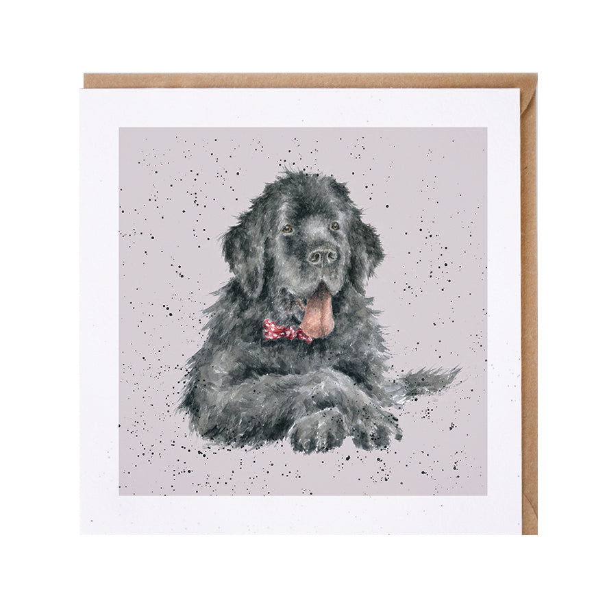 Wrendale Designs card Dog Breeds NEWFOUNDLAND