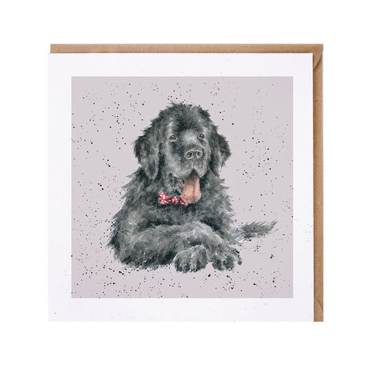 Wrendale Designs card Dog Breeds NEWFOUNDLAND