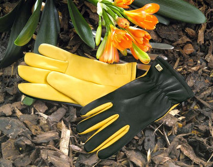 Gold Leaf Gardening Glove DRY TOUCH Gents