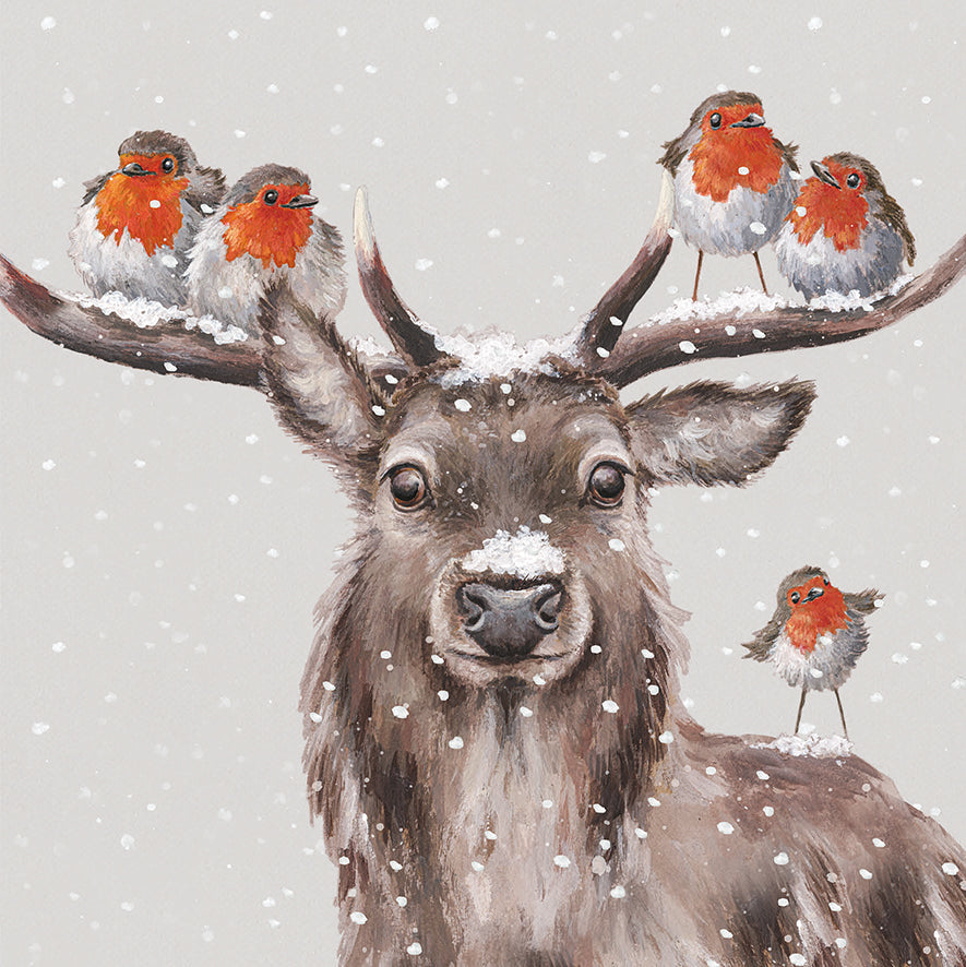 Wrendale Designs Christmas Cards Box-8 Premium DEER & ROBINS Festive Friends