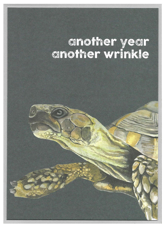 Cinnamon Aitch Quirky Birds & Critters Card TORTOISE