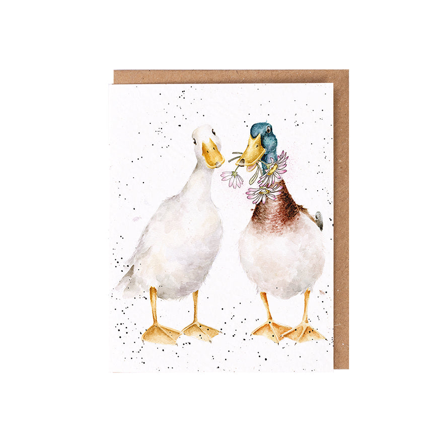 Wrendale Designs card The Wild Collection Ducks NOT A DAISY GOES BY 