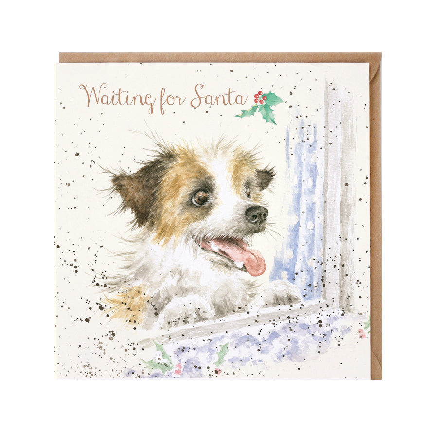 Wrendale Designs Christmas Card single TERRIER window